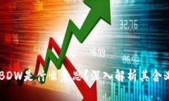 区块链BDW是什么意思？深入解析其含义