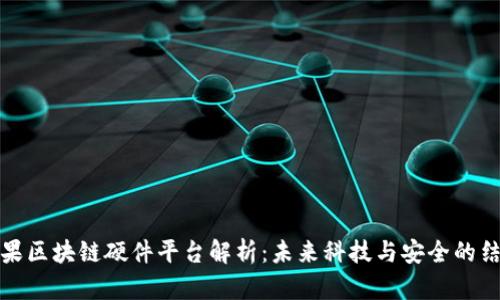 苹果区块链硬件平台解析:未来科技与安全的结合
