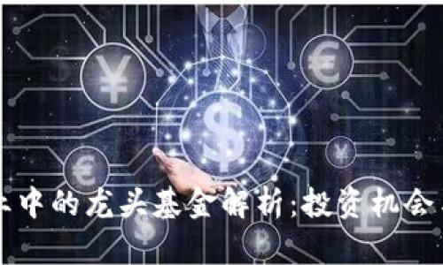 区块链行业中的龙头基金解析:投资机会与风险分析