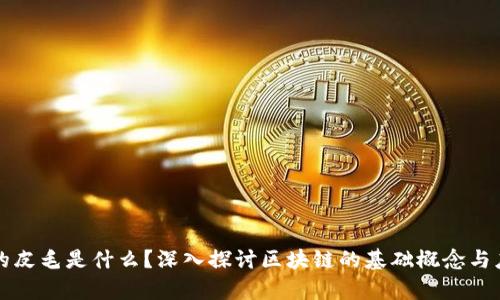 区块链的皮毛是什么?深入探讨区块链的基础概念与应用前景