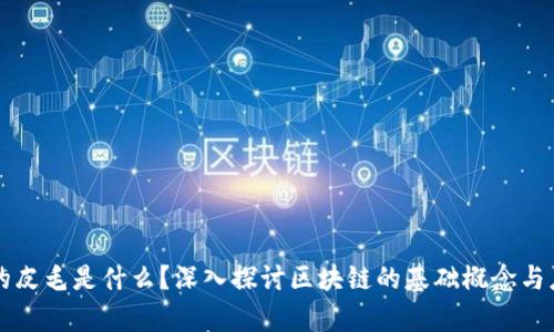 区块链的皮毛是什么?深入探讨区块链的基础概念与应用前景