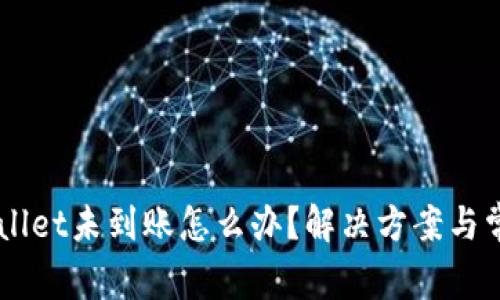 转账到TPWallet未到账怎么办？解决方案与常见问题解析