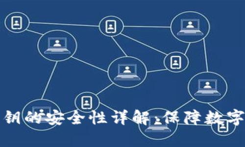 TPWallet导入私钥的安全性详解：保障数字资产安全的关键