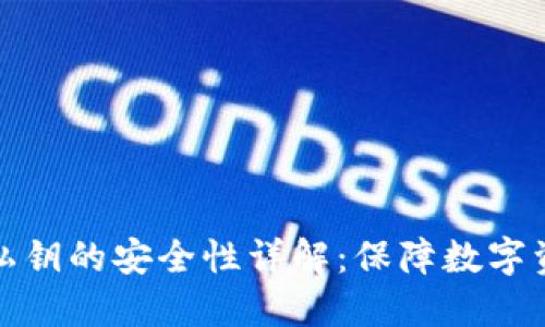 TPWallet导入私钥的安全性详解：保障数字资产安全的关键