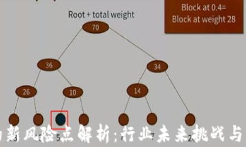 区块链的新风险点解析:行业未来挑战与应对策略