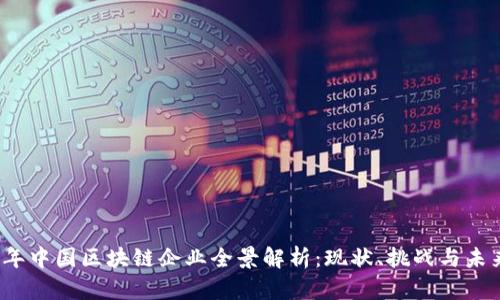 2023年中国区块链企业全景解析:现状、挑战与未来发展