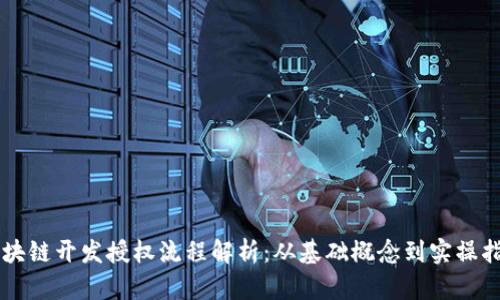 区块链开发授权流程解析:从基础概念到实操指南