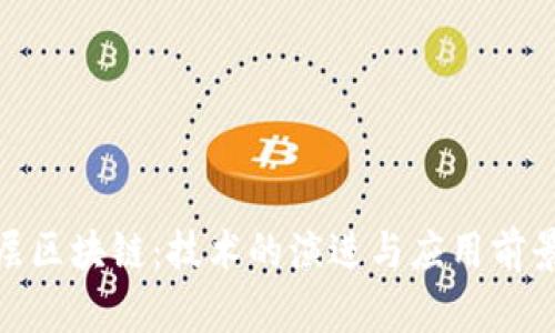 : 多层区块链:技术的演进与应用前景探讨