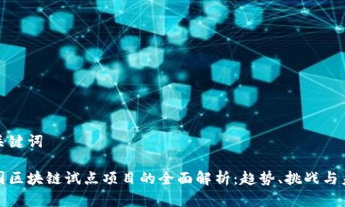 和关键词
美国区块链试点项目的全面解析:趋势、挑战与未来