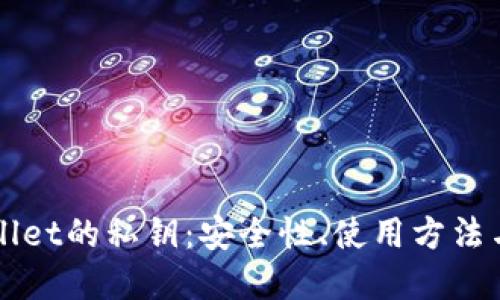 理解TPWallet的私钥：安全性、使用方法与管理技巧