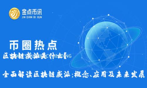 区块链威派是什么？

全面解读区块链威派：概念、应用及未来发展