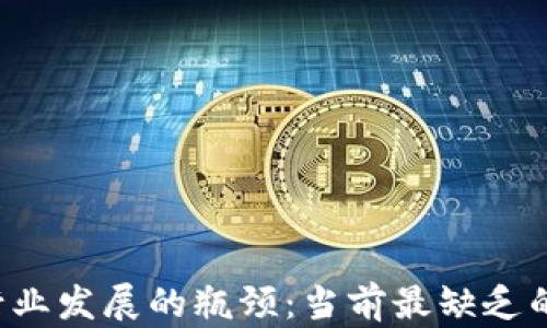 
区块链行业发展的瓶颈：当前最缺乏的是什么？