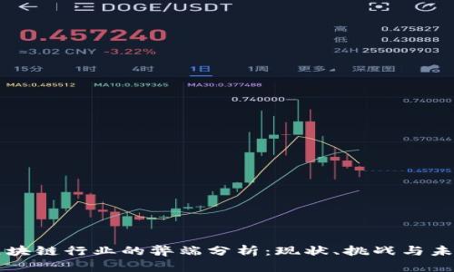 区块链行业的弊端分析:现状、挑战与未来