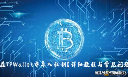 如何在TPWallet中导入私钥?详细教程与常见问题解答