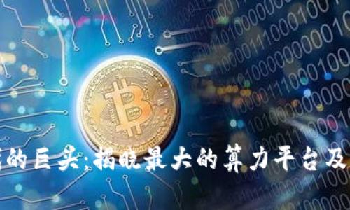 区块链时代的巨头:揭晓最大的算力平台及其行业影响