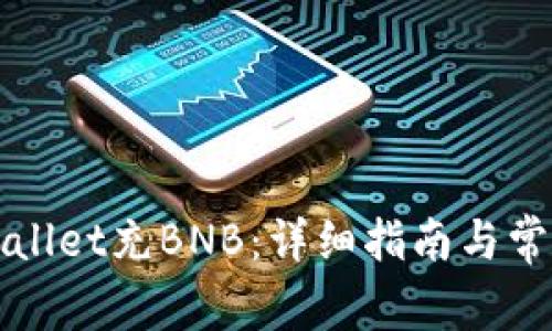如何往TPWallet充BNB:详细指南与常见问题解答