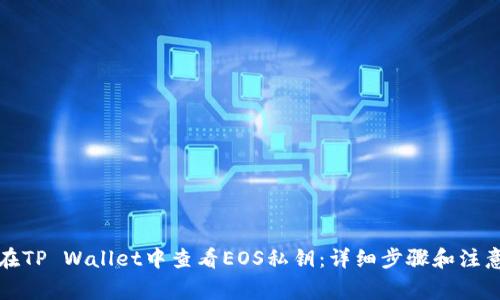 如何在TP Wallet中查看EOS私钥:详细步骤和注意事项
