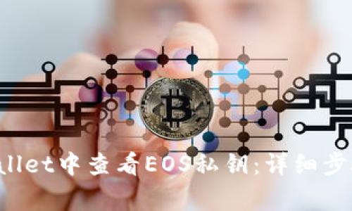 如何在TP Wallet中查看EOS私钥:详细步骤和注意事项