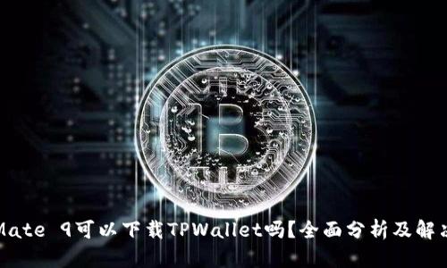 华为Mate 9可以下载TPWallet吗?全面分析及解决方案
