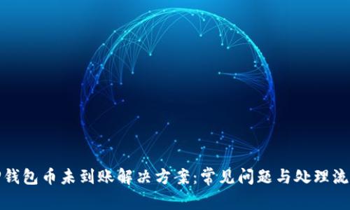 TP钱包币未到账解决方案:常见问题与处理流程