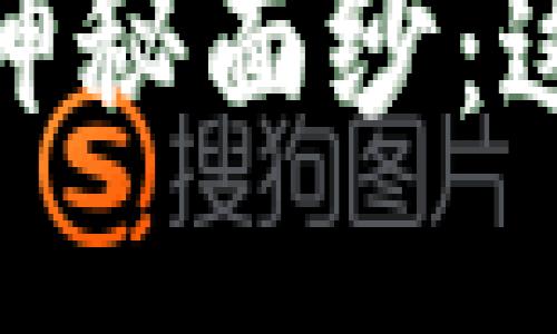 揭开区块链回归技术的神秘面纱：这一新兴专业的独特之处