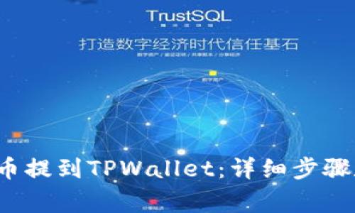 如何将FIL币提到TPWallet：详细步骤和注意事项