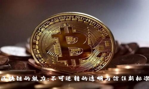 区块链的魅力：不可逆转的透明与信任新标准