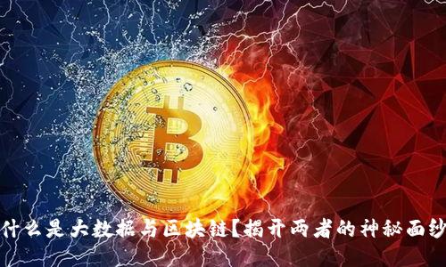 什么是大数据与区块链？揭开两者的神秘面纱