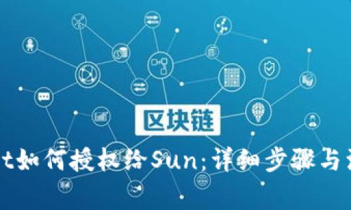TPWallet如何授权给Sun：详细步骤与注意事项