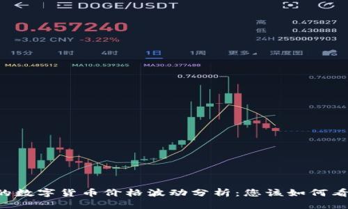 TPWallet中的数字货币价格波动分析：您该如何看待币的涨跌？