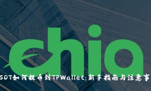 USDT如何提币到TPWallet:新手指南与注意事项