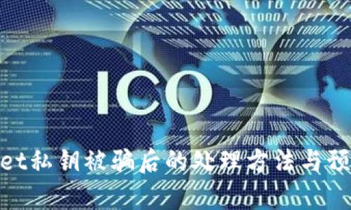 tpwallet私钥被骗后的处理方法与预防措施