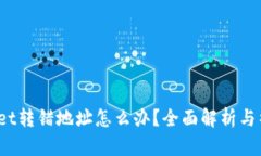 TP Wallet转错地址怎么办？全面解析与补