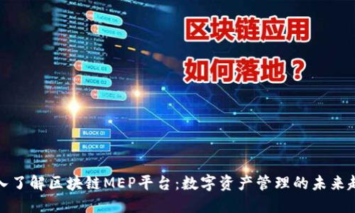 深入了解区块链MEP平台：数字资产管理的未来趋势