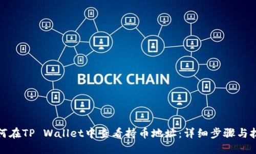 如何在TP Wallet中查看持币地址:详细步骤与技巧