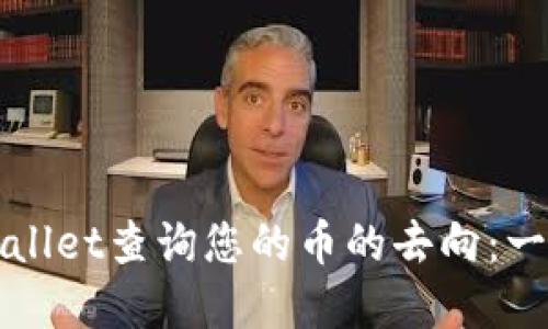 如何通过TPWallet查询您的币的去向:一站式解决方案