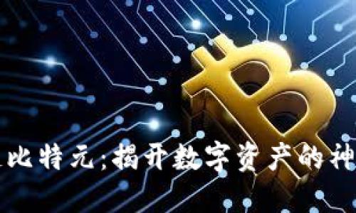 区块链比特元:揭开数字资产的神秘面纱