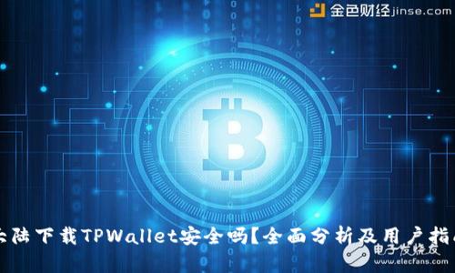 大陆下载TPWallet安全吗?全面分析及用户指南