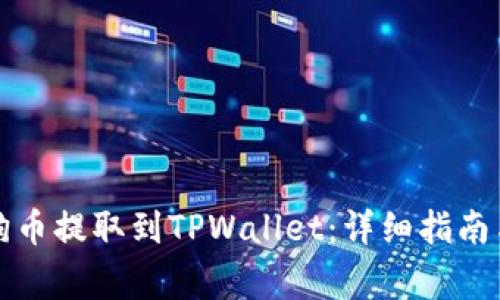 如何将狗狗币提取到TPWallet:详细指南与注意事项