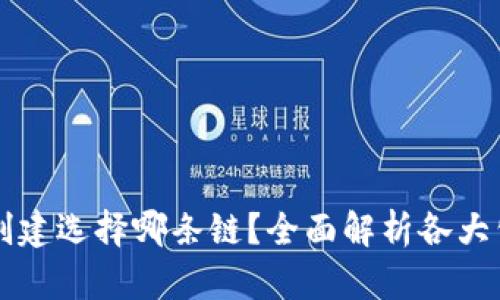 TPWallet创建选择哪条链？全面解析各大公链优劣势