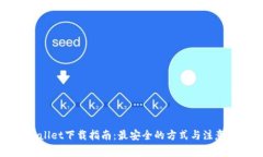 TPWallet下载指南：最安全的方式与注意
