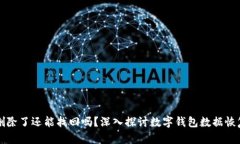 TPWallet删除了还能找回吗？深入探讨数