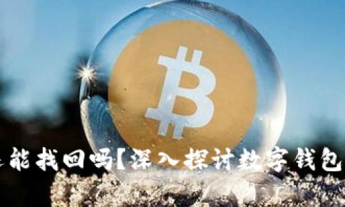TPWallet删除了还能找回吗？深入探讨数字钱包数据恢复的可能性