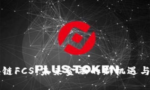 区块链FCS：未来金融的新机遇与挑战