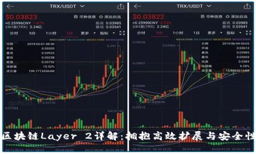 区块链Layer 2详解：拥抱高效扩展与安全性