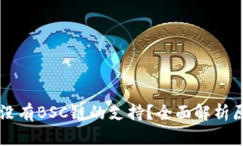 TPWallet为何没有BSC链的支持？全面解析原因与解决方案