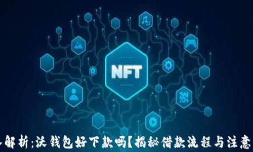 
深入解析：沃钱包好下款吗？揭秘借款流程与注意事项