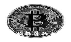 区块链合约地址查询软件的全面指南与实用评测