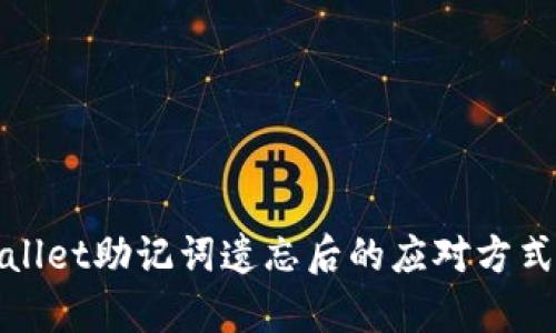 tpwallet助记词遗忘后的应对方式指南