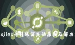 TPwallet币转账消失的原因及解决方法